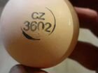 Инкубационное яйцо под заказ на каждый понедельник объявление продам