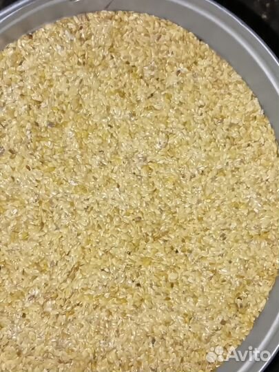 Продаются семена льна золотистого сорт Еруслан рс1