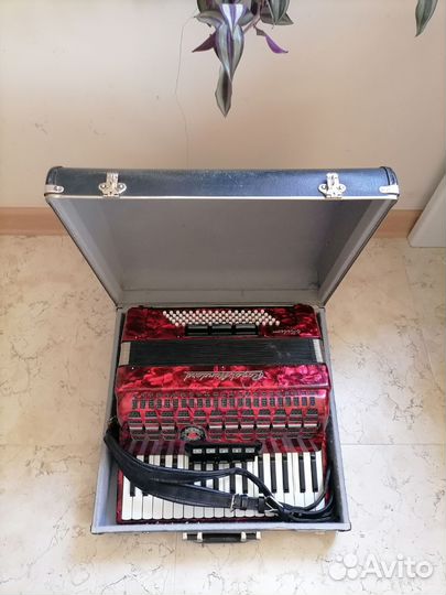 Аккордеон royal standard