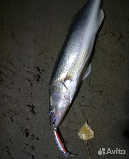 Воблер, раттлин, поппер, шарнирный воблер и тд