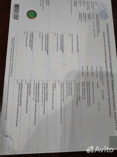 Вязка собак