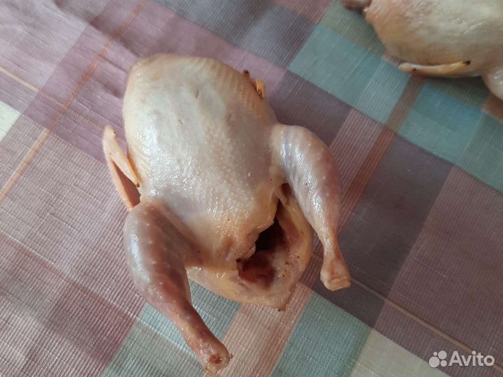 Мясо перепела Куры Индейка Утка