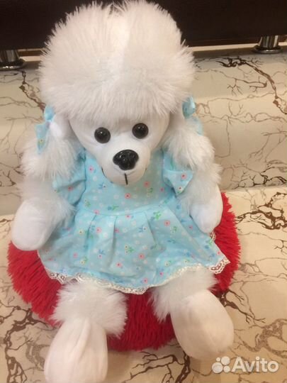 Белый пудель новый
