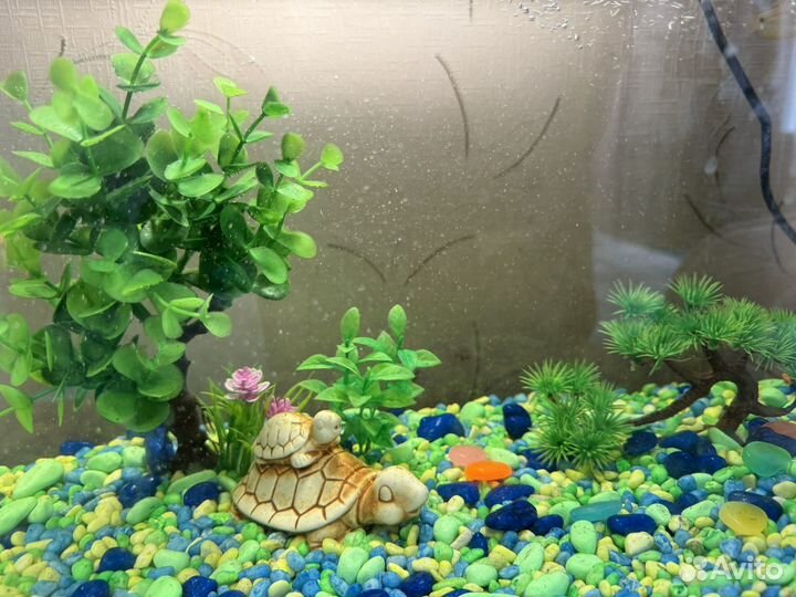 Аквариум 50л