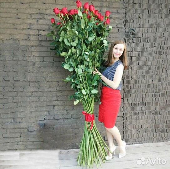 Розы Гиганты до 2 м 100 110 120 130 140 150 170 18