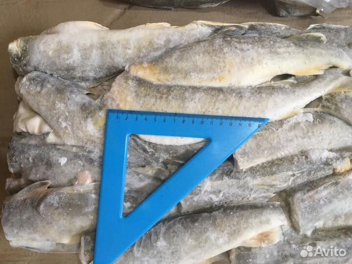 Навага б/г крупная (доставка)