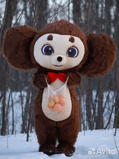 Поздравление от Чебурашки и Миньона