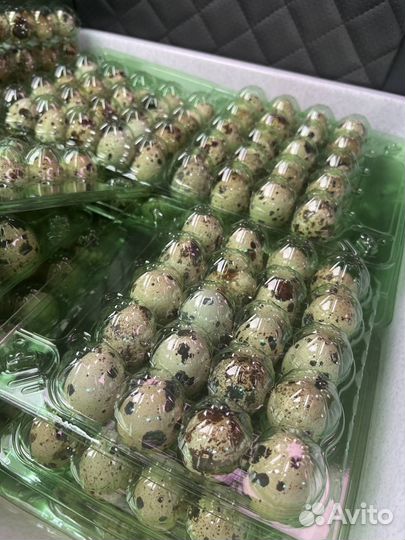 Яйца перепелиные от фермера доставка обмен