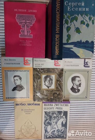 Книги - поэзия