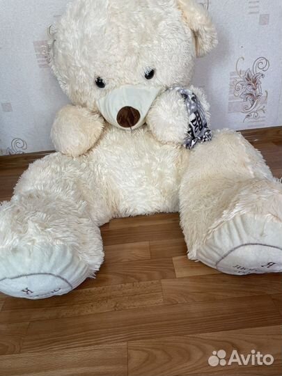 Медведь большой новый