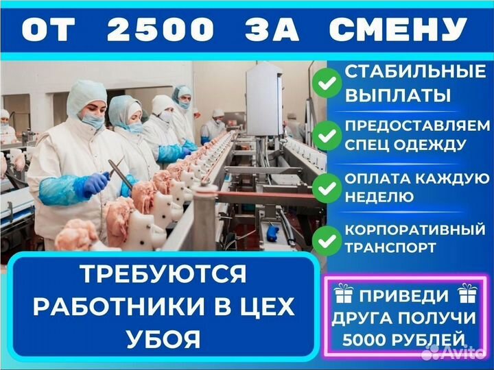 Рабочие на птице фабрику