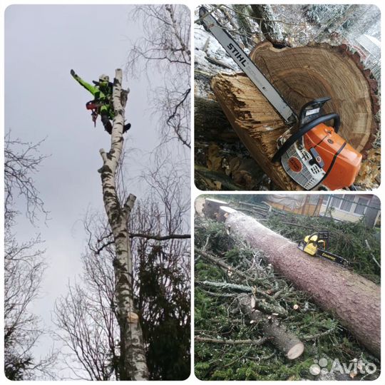 Удаление деревьев, высотные, сварочные работы