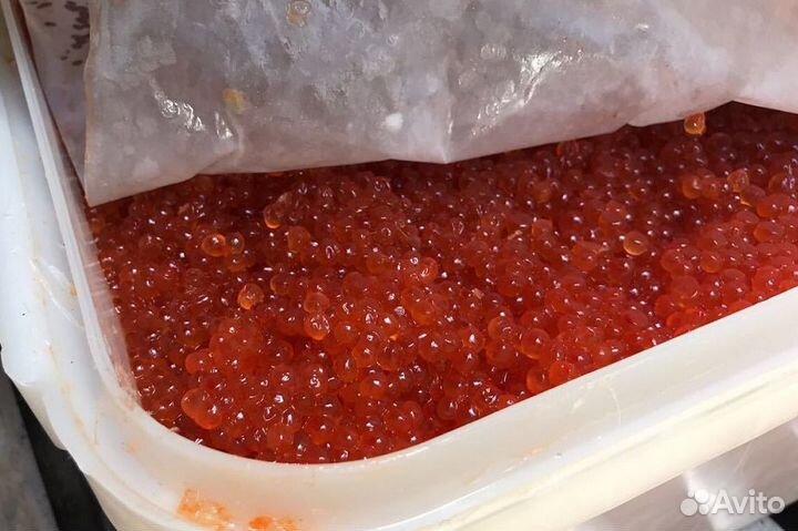 Красная икра горбуши 2023 г. оптом и мелким оптом