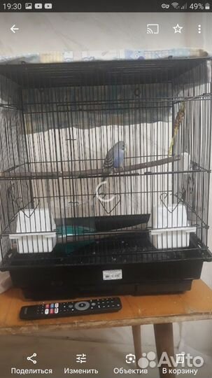 Клетка для попугая