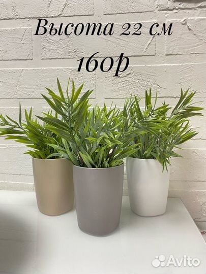 Искусственные растения (в ассортименте)