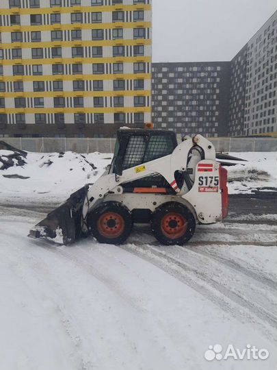 Аренда мини-погрузчика Bobcat S-175