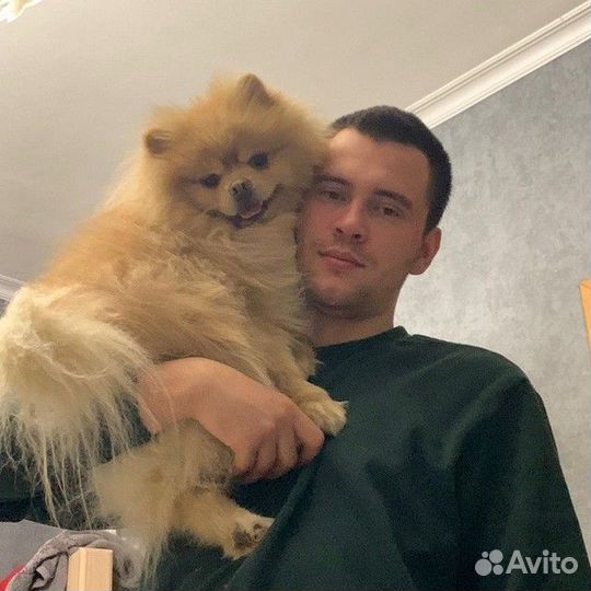 Личный водитель, водитель экспедитор