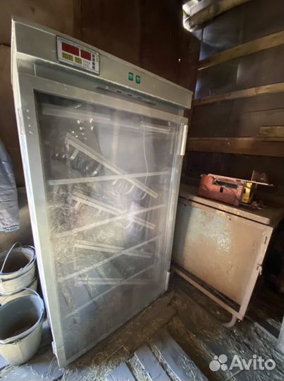 Инкубатор для страусиных яиц 60 штук