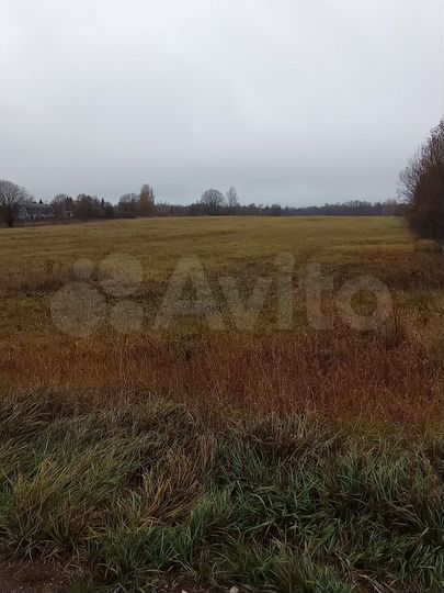 Участок 6,8 га (СНТ, ДНП)