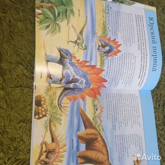 Книга Динозавры детская подростковая