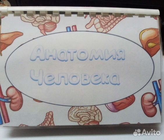 Книжка о строении человека