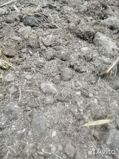 Доставка Навоз и перегной