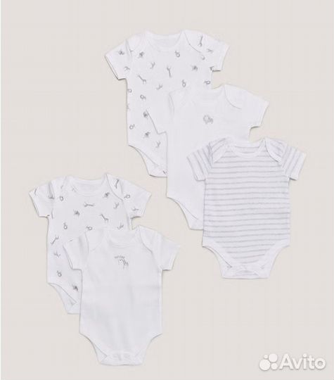 Боди 56 новые