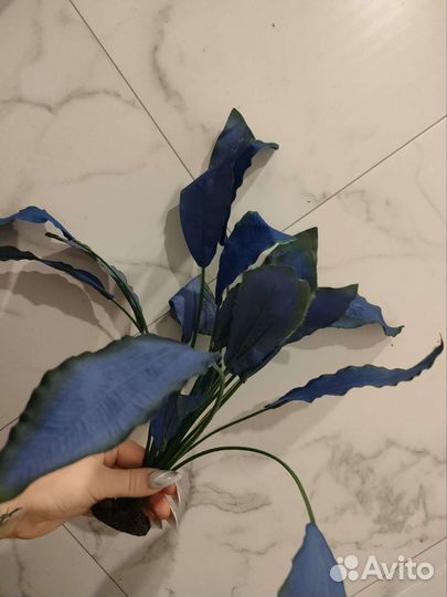 Аквариум с рыбками