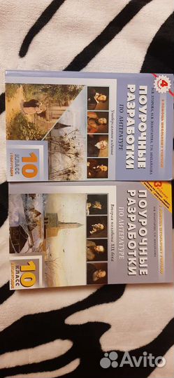 Пособие для учителя лит-ры, 10 кл (Золотарева)