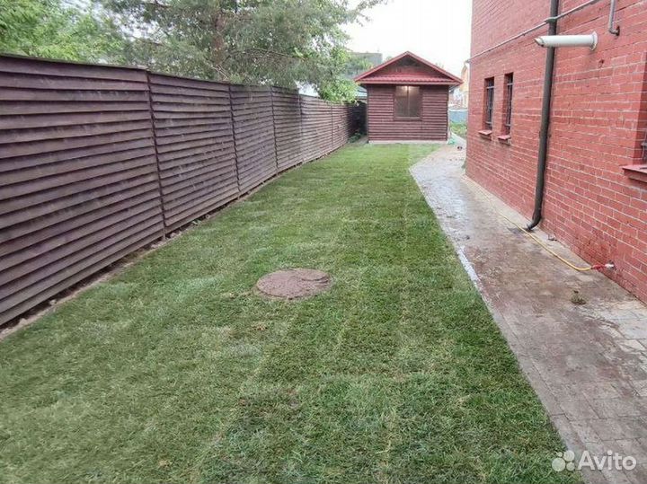 Отличный газон спортивный