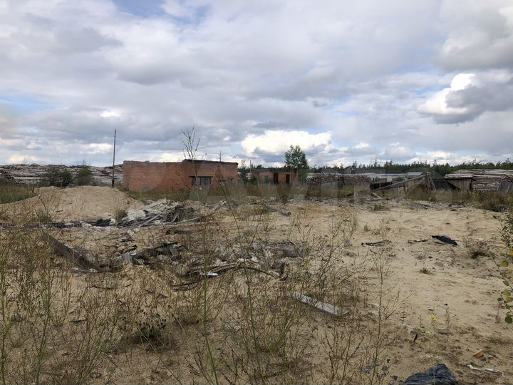 Участок 10 сот. (ИЖС)