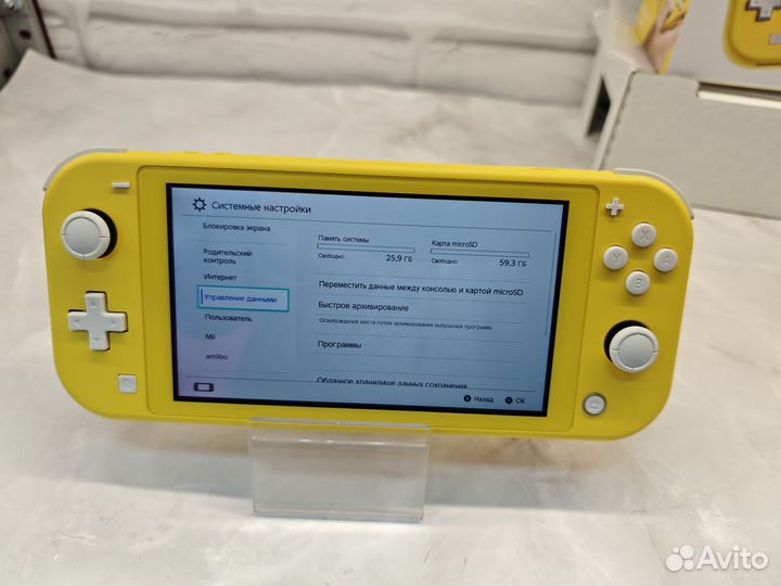 Nintendo Switch Lite