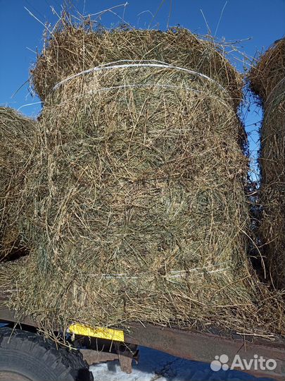 Сено в рулонах
