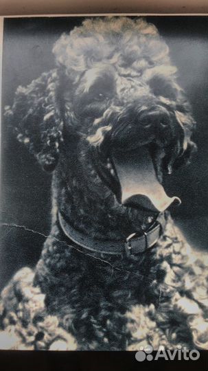 Открытки ретро СССР