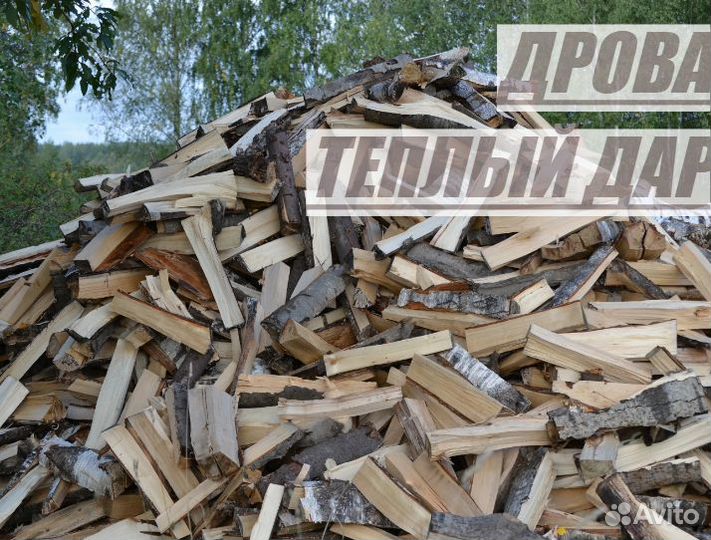 Дрова