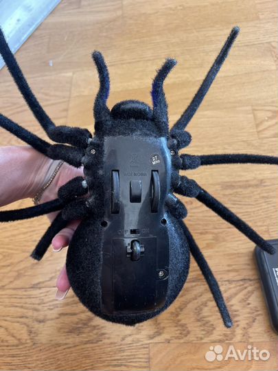 Паук на пульте