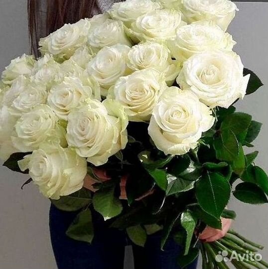 Высокие розы Доставка цветов