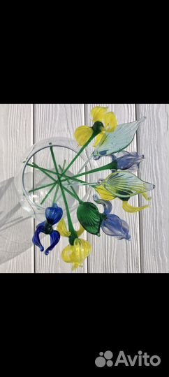 Ирисы стеклянные
