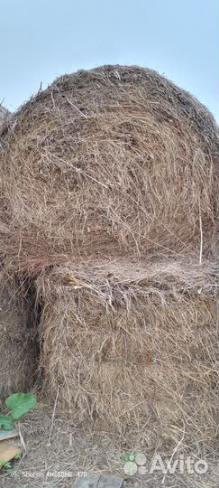 Сено в тюках