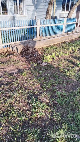 Труба асбестоцементная 300