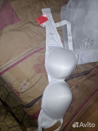 Бюстгальтер