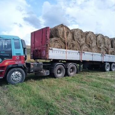 Продам сено в рулонах