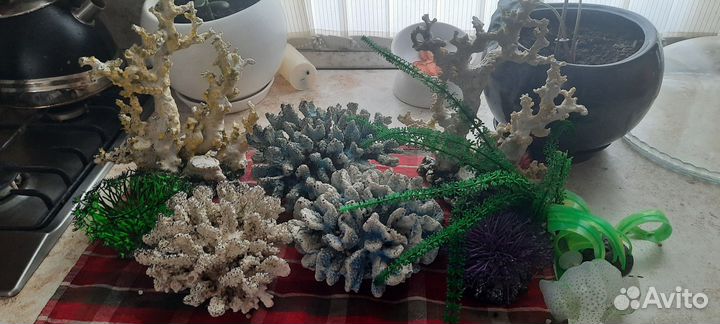Для аквариума декор за всё