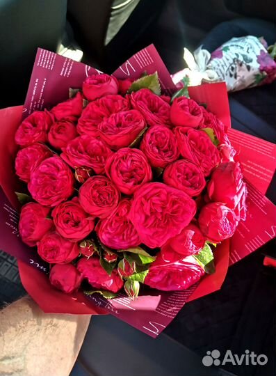 Розы, букет цветов, 101 роза, 51 роза. Розы опт