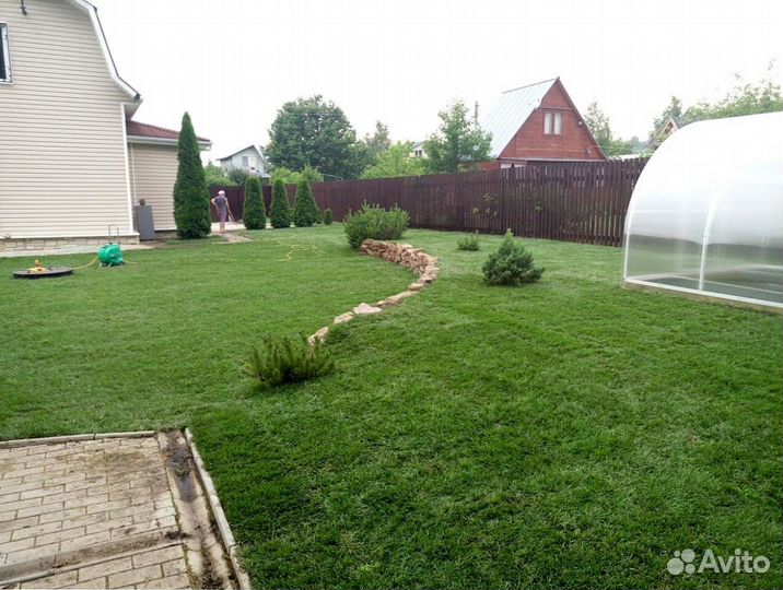 Рулонный газон с доставкой