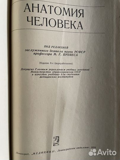 Анатомия человека