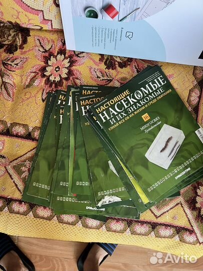 Насекомые и их знакомые