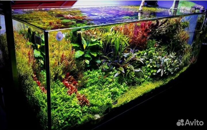 Обслуживание аквариумов