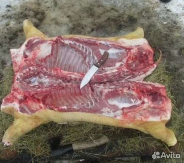 Свинина домашняя