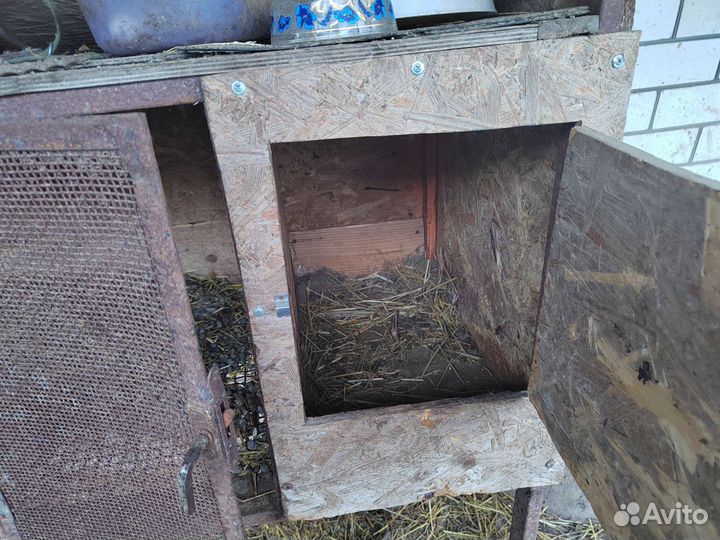 Клетка для кролика